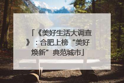 《美好生活大调查》：合肥上榜“美好焕新”典范城市