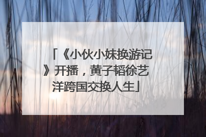 《小伙小妹换游记》开播，黄子韬徐艺洋跨国交换人生