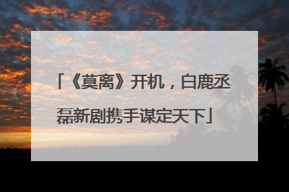 《莫离》开机，白鹿丞磊新剧携手谋定天下