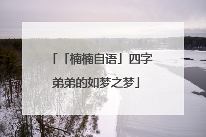 「楠楠自语」四字弟弟的如梦之梦