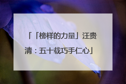 「榜样的力量」汪贵清：五十载巧手仁心