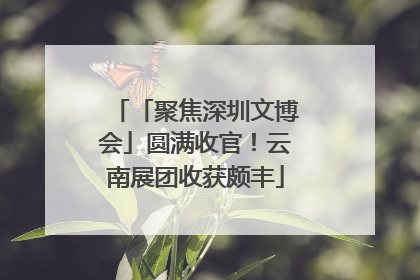 「聚焦深圳文博会」圆满收官！云南展团收获颇丰