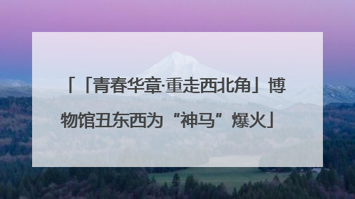 「青春华章·重走西北角」博物馆丑东西为“神马”爆火