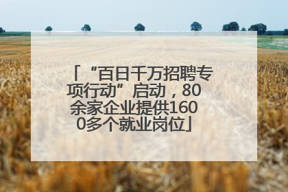 “百日千万招聘专项行动”启动，80余家企业提供1600多个就业岗位
