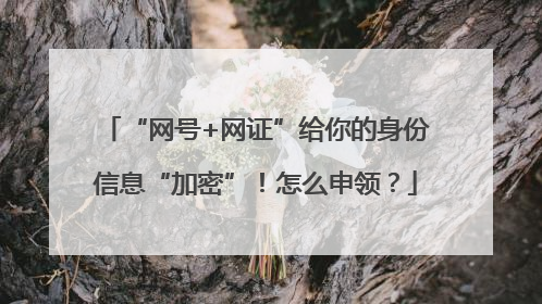 “网号+网证”给你的身份信息“加密”！怎么申领？