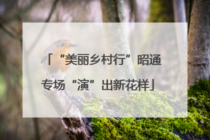 “美丽乡村行”昭通专场“演”出新花样
