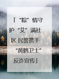 “粽”情守护“艾”满社区 民警携手“黄鹤卫士”反诈宣传
