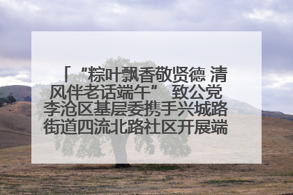 “粽叶飘香敬贤德 清风伴老话端午” 致公党李沧区基层委携手兴城路街道四流北路社区开展端午节主题活动