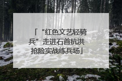 “红色文艺轻骑兵”走进石首抗洪抢险实战练兵场
