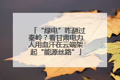 “绿电”咋翻过秦岭？看甘肃电力人用血汗在云端架起“能源丝路”