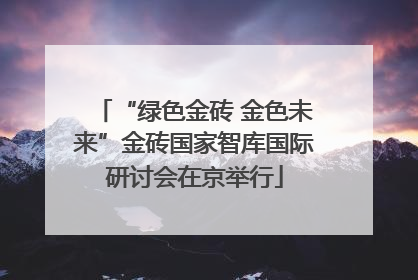 “绿色金砖 金色未来”金砖国家智库国际研讨会在京举行