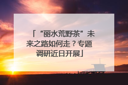 “丽水荒野茶”未来之路如何走？专题调研近日开展
