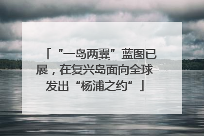“一岛两翼”蓝图已展，在复兴岛面向全球发出“杨浦之约”