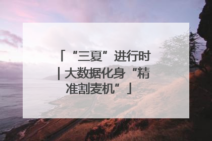 “三夏”进行时｜大数据化身“精准割麦机”