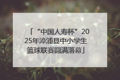 “中国人寿杯”2025年漳浦县中小学生篮球联赛圆满落幕