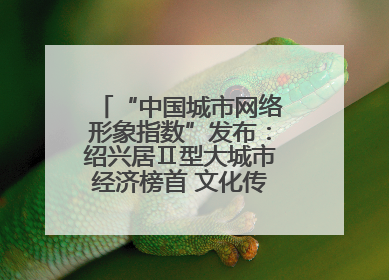 “中国城市网络形象指数”发布：绍兴居Ⅱ型大城市经济榜首 文化传播独具特色
