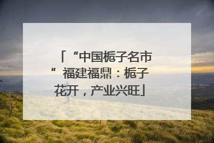 “中国栀子名市”福建福鼎：栀子花开，产业兴旺