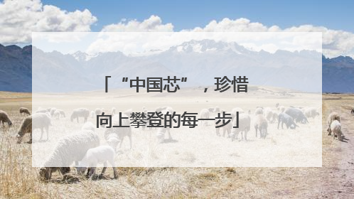 “中国芯”，珍惜向上攀登的每一步