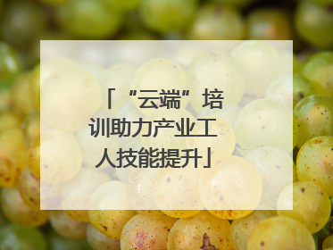 “云端”培训助力产业工人技能提升