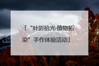 “叶影拾光·植物拓染”手作体验活动
