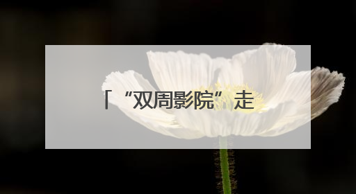 “双周影院”走进石景山区，文化惠民迈出新步伐