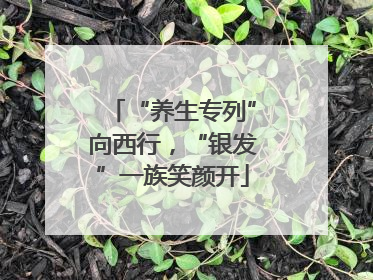 “养生专列”向西行，“银发”一族笑颜开