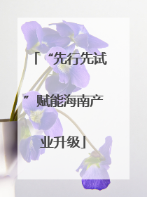 “先行先试”赋能海南产业升级