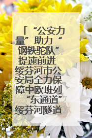 “公安力量”助力“钢铁驼队”提速前进 绥芬河市公安局全力保障中欧班列“东通道”绥芬河隧道贯通
