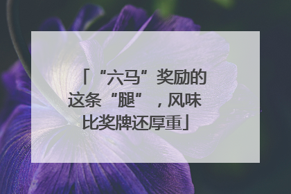 “六马”奖励的这条“腿”，风味比奖牌还厚重