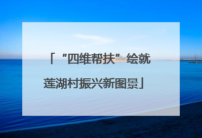“四维帮扶”绘就莲湖村振兴新图景