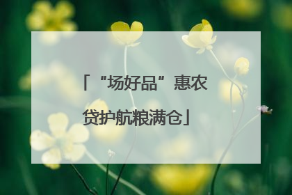 “场好品”惠农贷护航粮满仓
