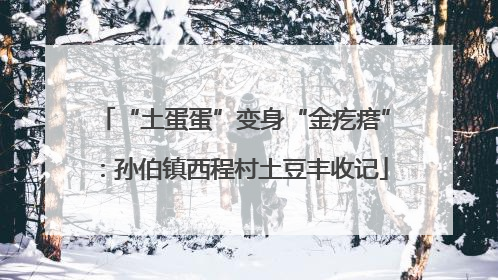 “土蛋蛋”变身“金疙瘩”：孙伯镇西程村土豆丰收记