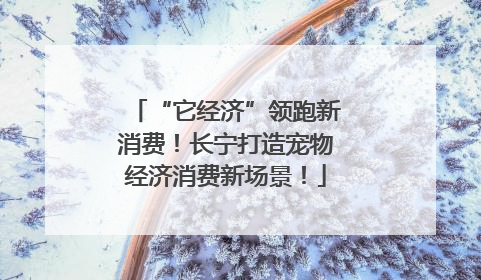 “它经济”领跑新消费！长宁打造宠物经济消费新场景！