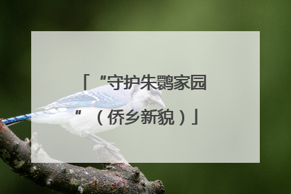 “守护朱鹮家园”（侨乡新貌）