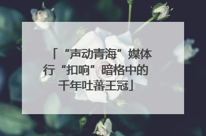 “声动青海”媒体行“扣响”暗格中的千年吐蕃王冠