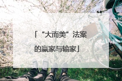 “大而美”法案的赢家与输家