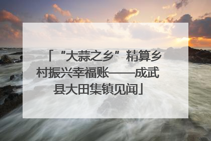 “大蒜之乡”精算乡村振兴幸福账——成武县大田集镇见闻