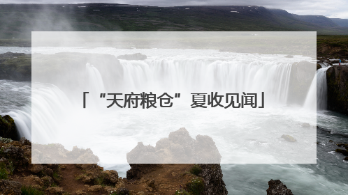 “天府粮仓”夏收见闻