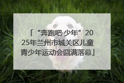 “奔跑吧·少年”2025年兰州市城关区儿童青少年运动会圆满落幕