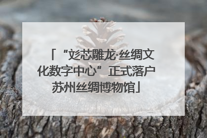 “彣芯雕龙·丝绸文化数字中心”正式落户苏州丝绸博物馆