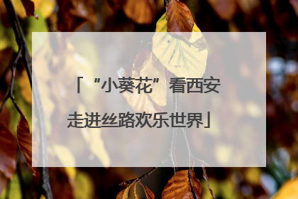 “小葵花”看西安走进丝路欢乐世界