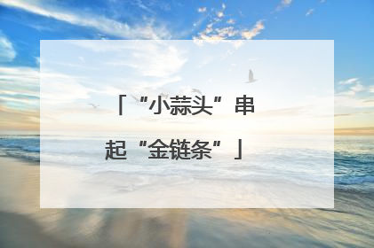 “小蒜头”串起“金链条”