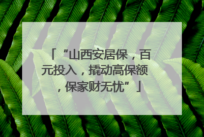 “山西安居保，百元投入，撬动高保额，保家财无忧”