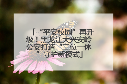 “平安校园”再升级！黑龙江大兴安岭公安打造“三位一体”守护新模式