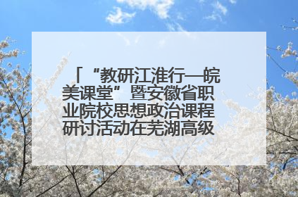 “教研江淮行—皖美课堂”暨安徽省职业院校思想政治课程研讨活动在芜湖高级职业技术学校举行