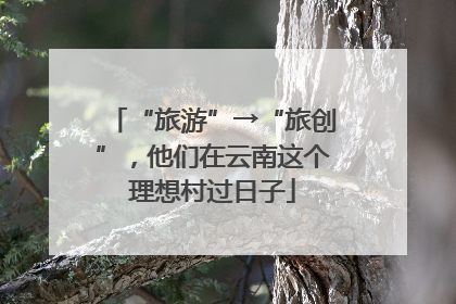 “旅游”→“旅创”，他们在云南这个理想村过日子