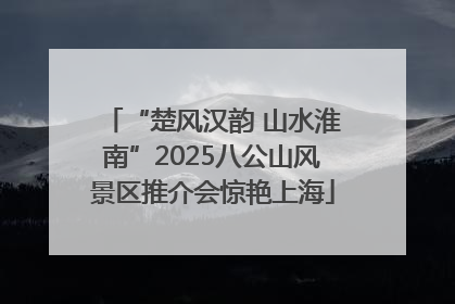 “楚风汉韵 山水淮南”2025八公山风景区推介会惊艳上海