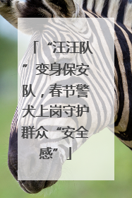 “汪汪队”变身保安队，春节警犬上岗守护群众“安全感”