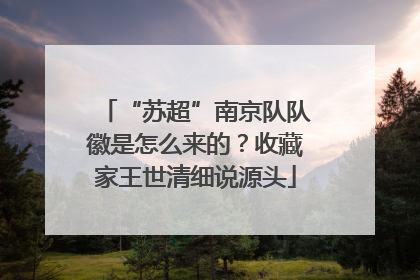 “苏超”南京队队徽是怎么来的？收藏家王世清细说源头