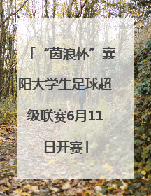 “茵浪杯”襄阳大学生足球超级联赛6月11日开赛